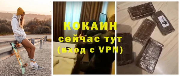 твердый Пересвет
