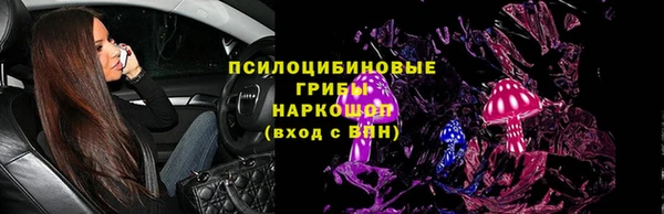 ПСИЛОЦИБИНОВЫЕ ГРИБЫ Пестово