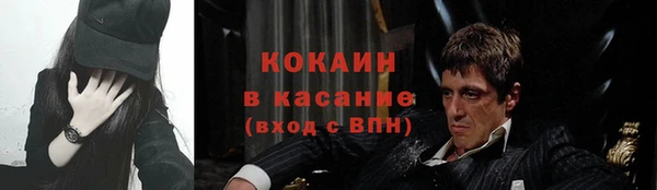 твердый Пересвет