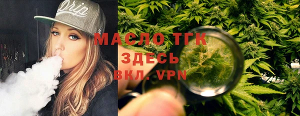 твердый Пересвет