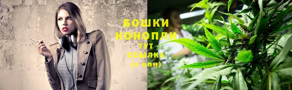 ПСИЛОЦИБИНОВЫЕ ГРИБЫ Пестово