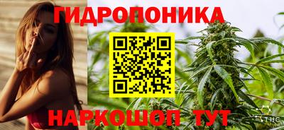 стаф Волжск