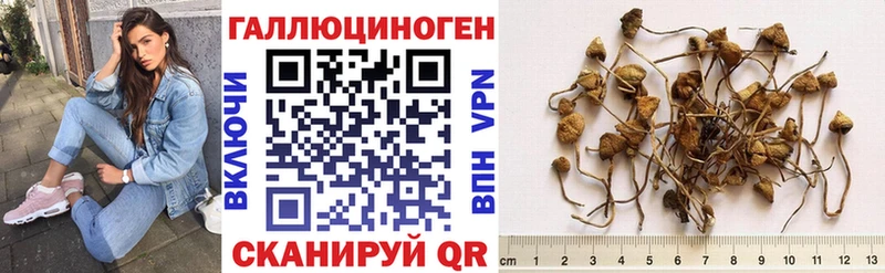 где продают   Березники  Галлюциногенные грибы мицелий 