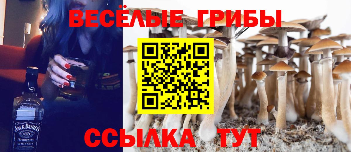 Березники  Псилоцибиновые грибы Psilocybe  Вход с VPN  Галлюциногенные грибы ЛСД 